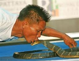 змеиное шоу в Таиланде
